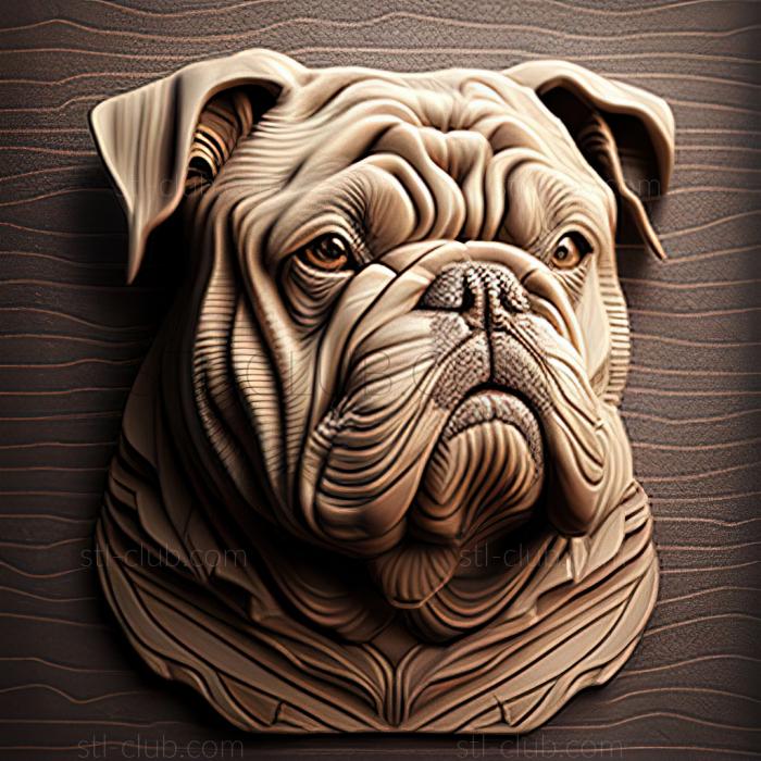 st Old English Bulldog newly created dog